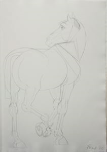 Image of A Horse