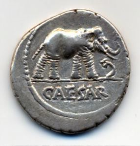 Image of Julius Caesar, elephant trampling snake variety (non-portrait)