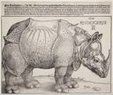 Image of Rhinoceros