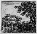 Image of Landscape with three large trees